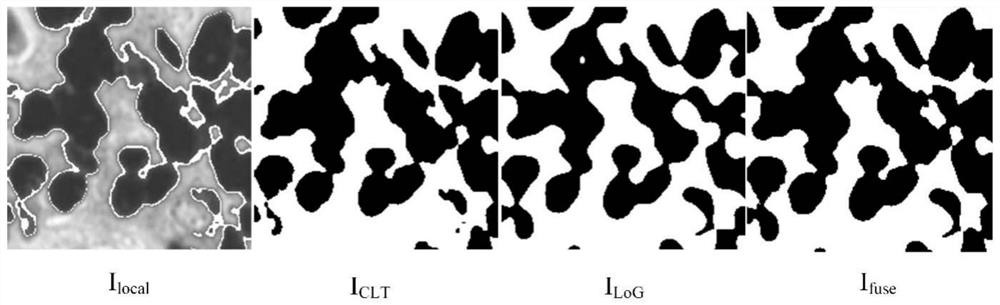 Cell segmentation method, device and computer-readable storage medium