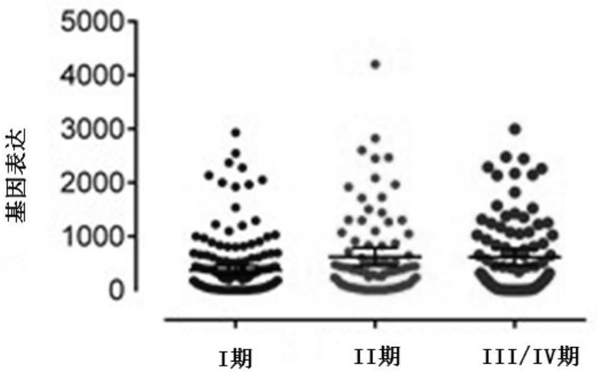 Application of epidermal growth factor receptor kinase substrate 8-type protein 3 to enhancement of curative effect of multi-target kinase inhibitor