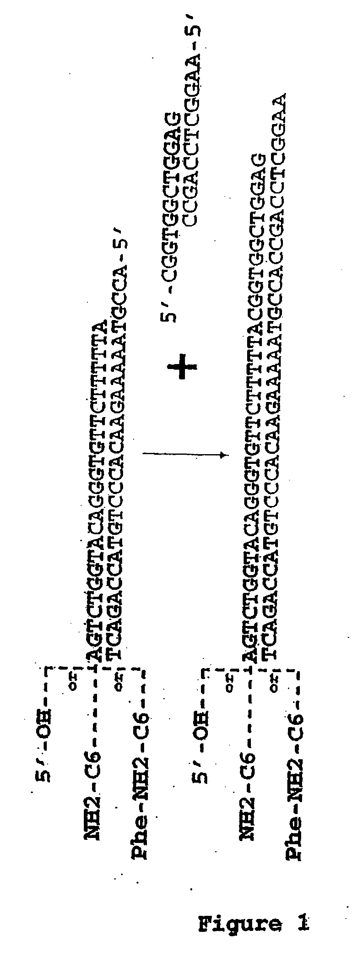 Methods for synthesis of encoded libraries