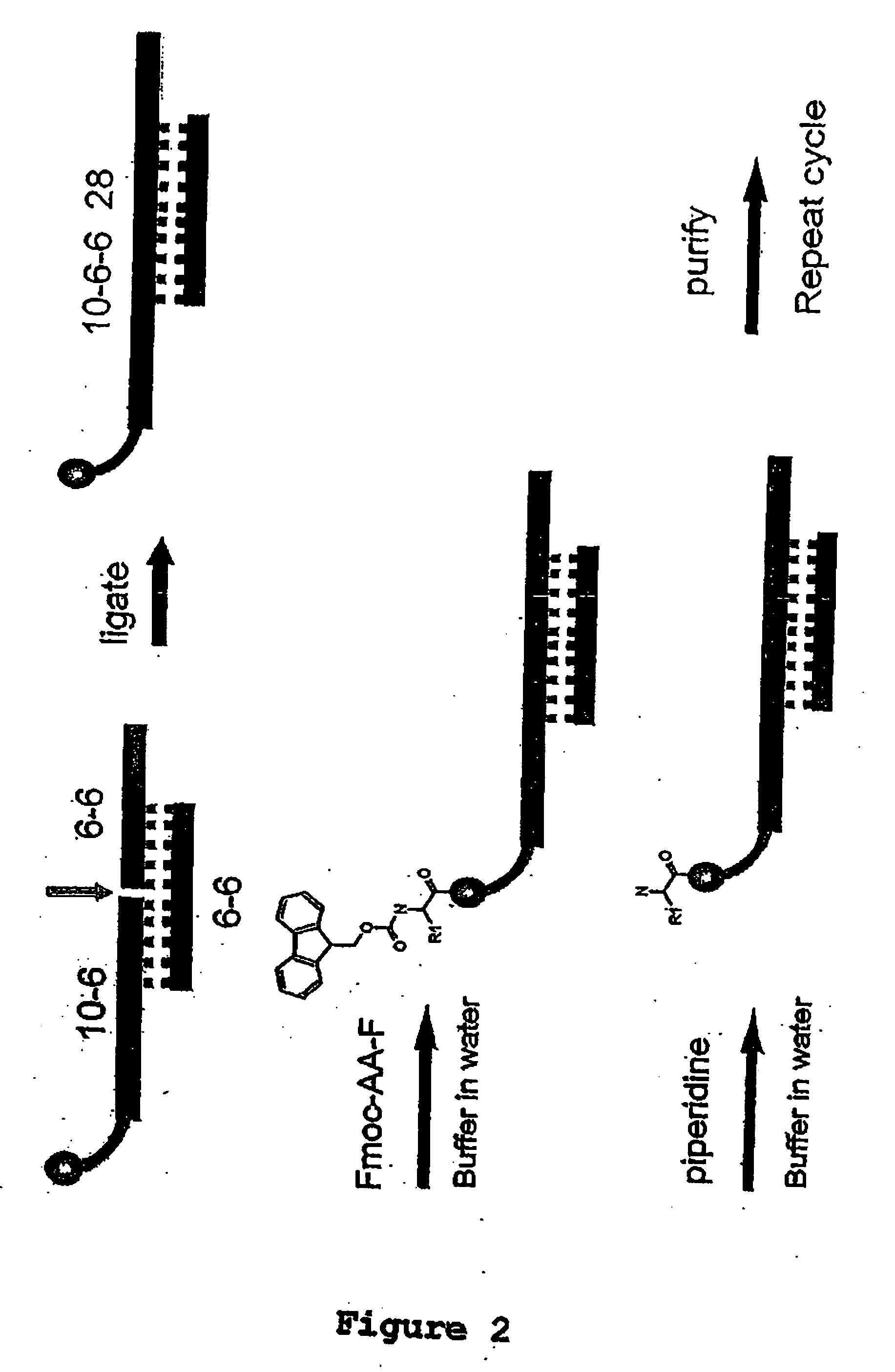 Methods for synthesis of encoded libraries