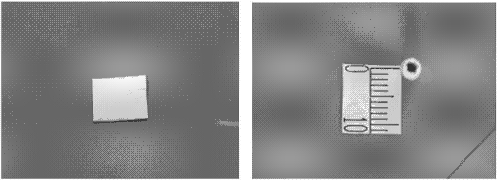 Polylactic acid / beta-calcium phosphate / I type collagen composite nerve conduit and preparation method thereof