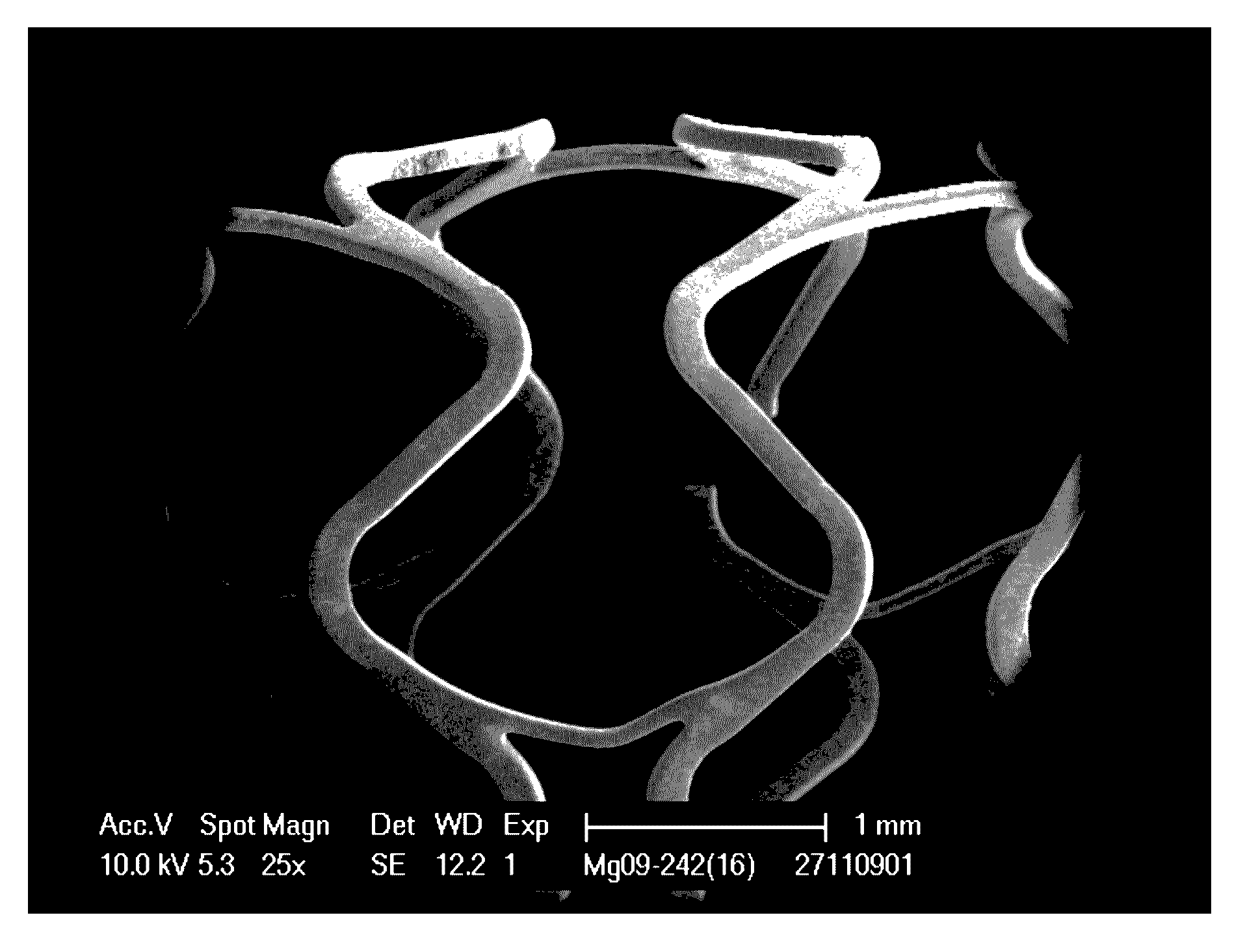 Microstructured absorbable implant