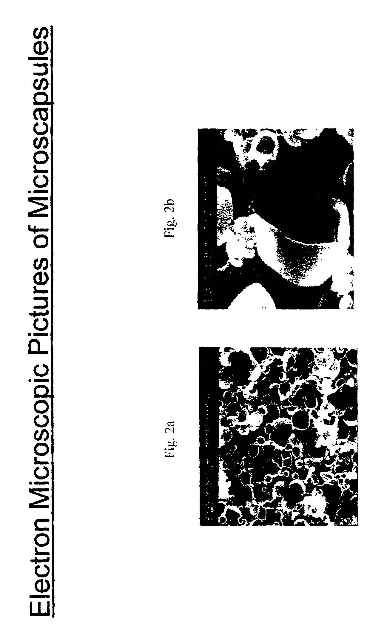 Induced phase transition method for the production of microparticles containing hydrophilic active agents