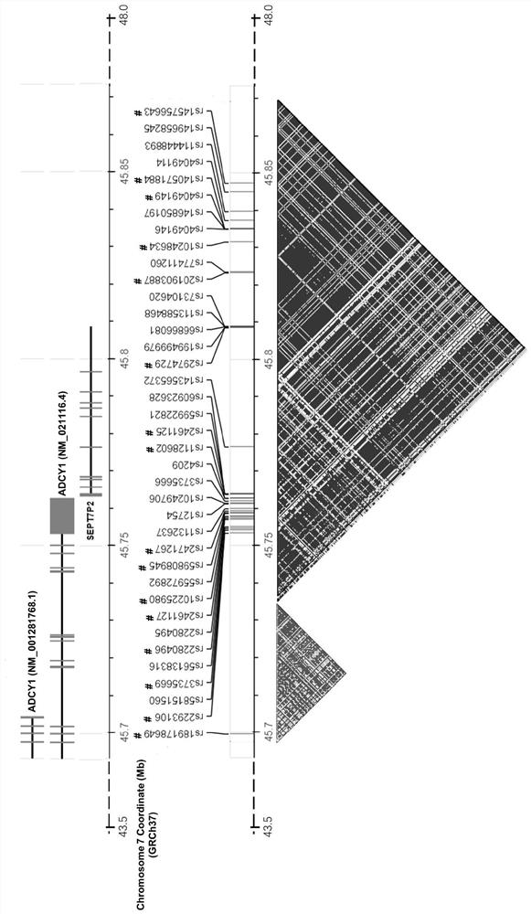 Application of target site enhancer of rs2280496 or rs189178649