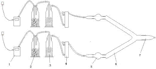 Bactrocera minax sex pheromone, and extraction method and application thereof