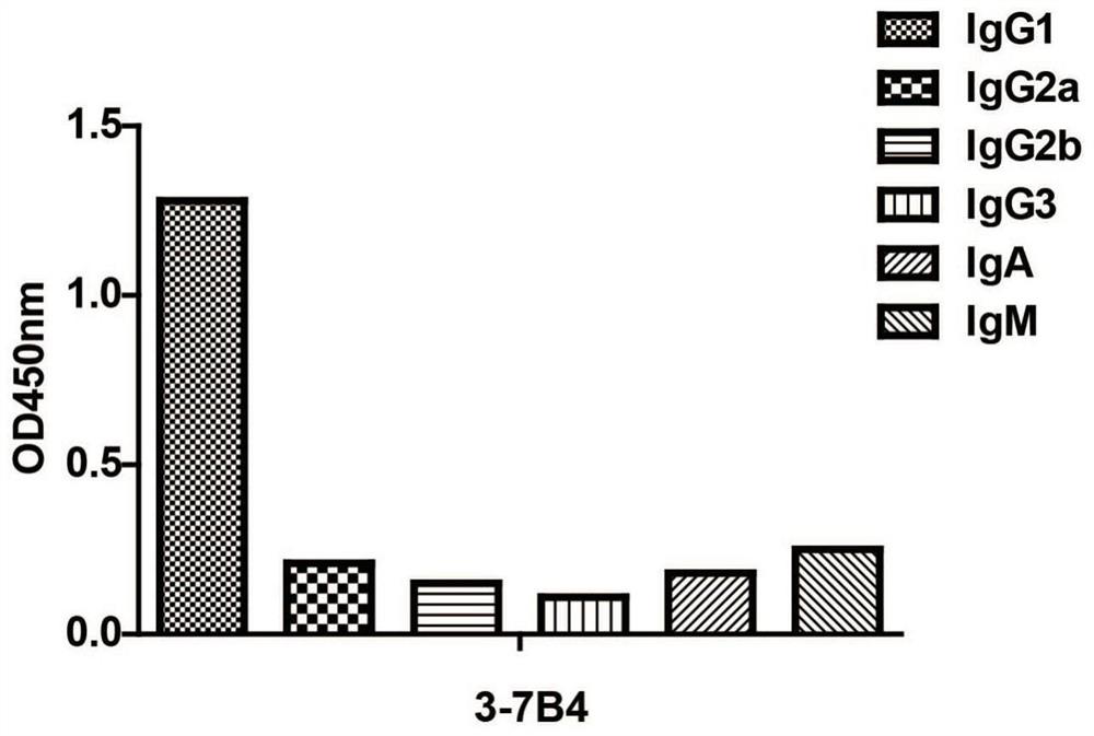 An anti-erbb2 antibody and its application in the treatment of breast cancer