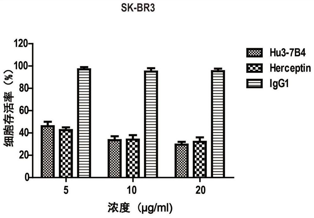 An anti-erbb2 antibody and its application in the treatment of breast cancer