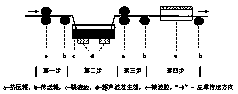 A pass-through metal salt tanning method based on ultrasonic and microwave assistance