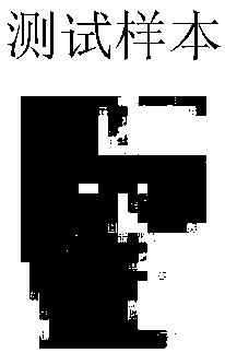 Method for rapid cooperation expression of face classification