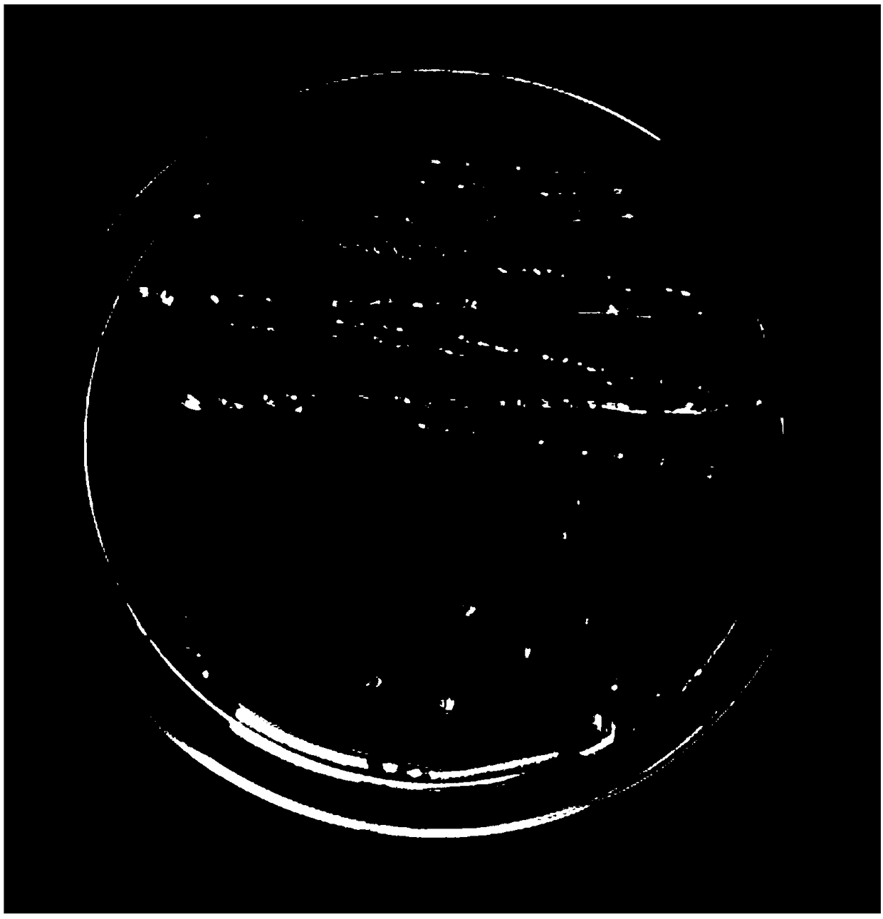 Lysinibacillus fusiformis and application thereof in land reclamation and ecological reconstruction in mining area