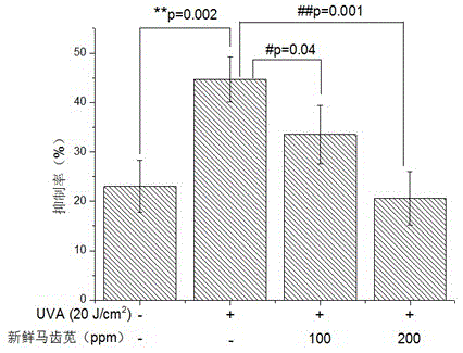 Preparation method of herba portulacae extracting solution