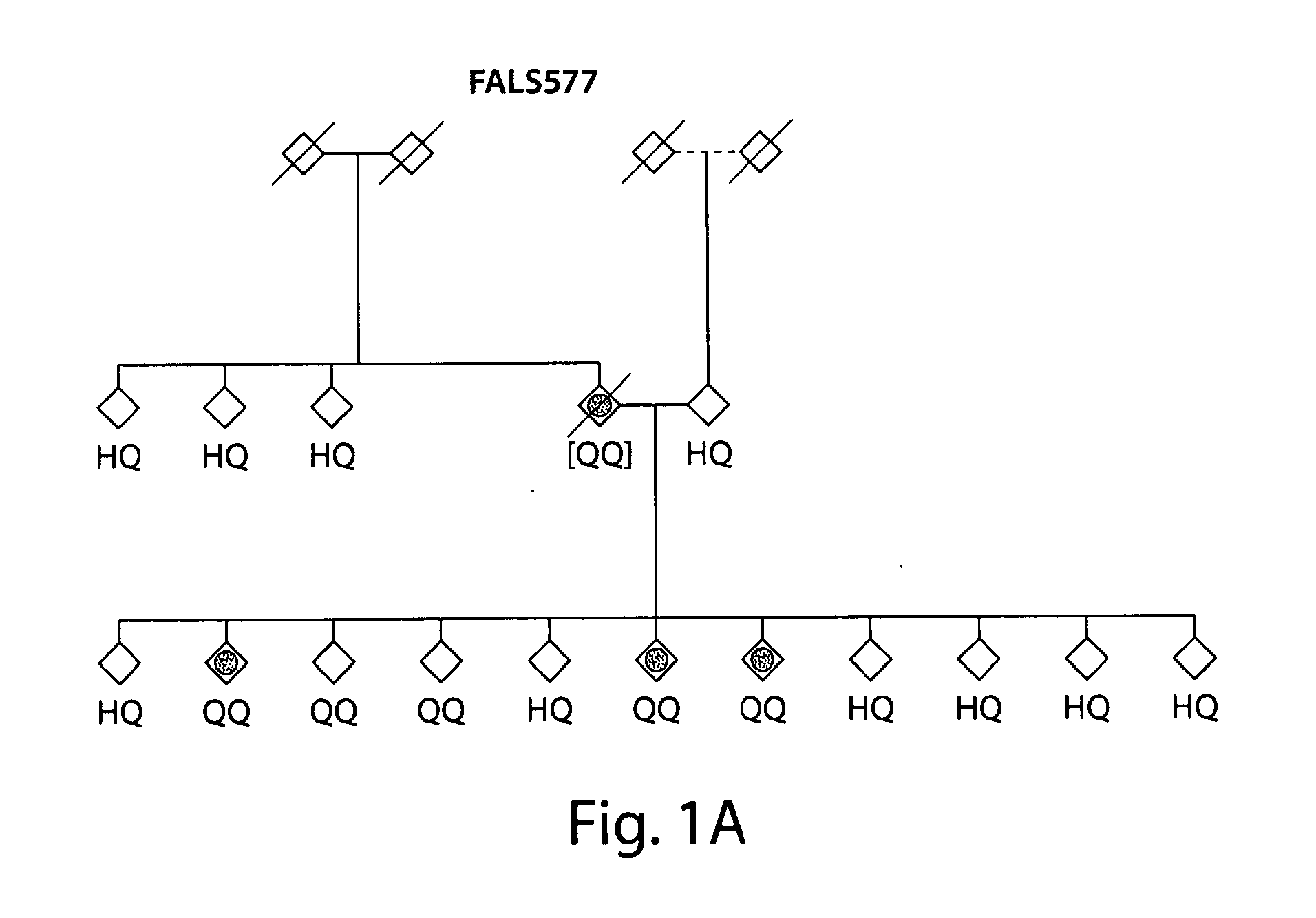 Fus/tls-based compounds and methods for diagnosis, treatment and prevention of amyotrophic lateral sclerosis and related motor neuron diseases