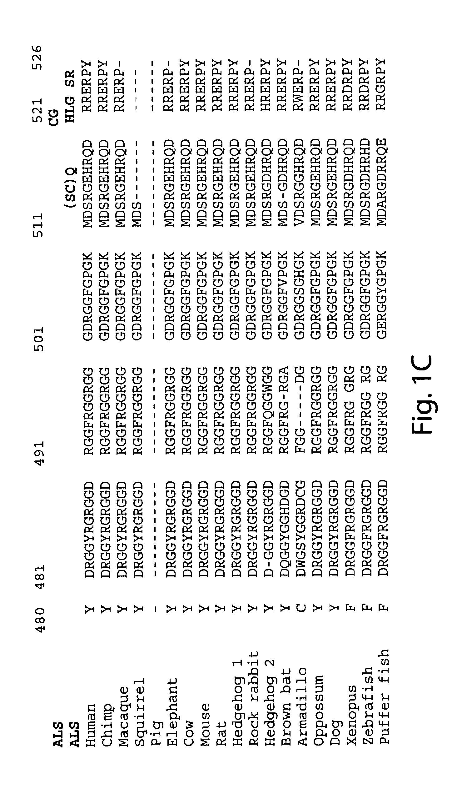 Fus/tls-based compounds and methods for diagnosis, treatment and prevention of amyotrophic lateral sclerosis and related motor neuron diseases