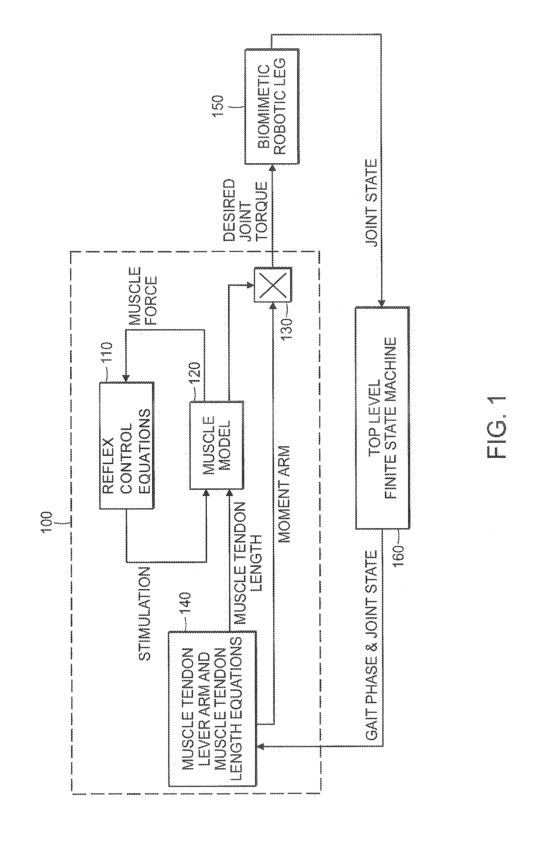 Model-based neuromechanical controller for a robotic leg