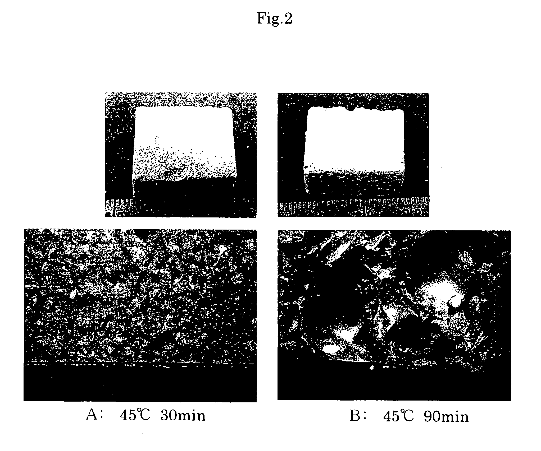 Method for preparing porous composite material