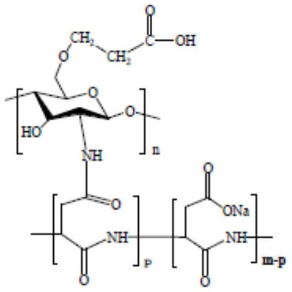 Chitosan copolymer as well as preparation and application thereof