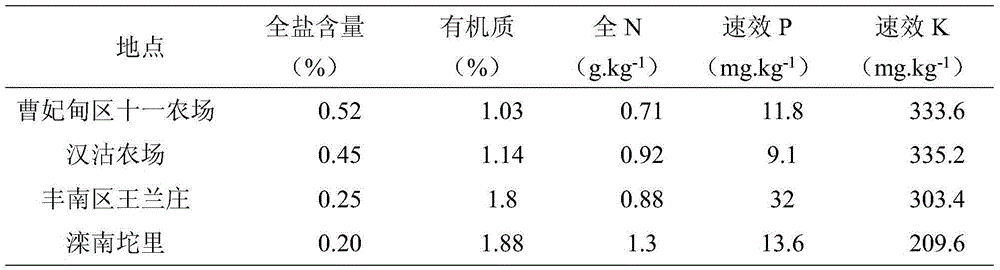 Method for planting cotton at muddy coastal heavy saline-alkali land