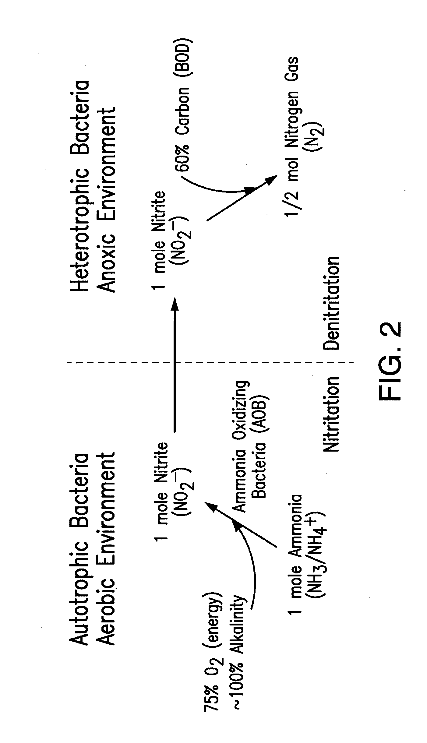 Method and apparatus for nitrogen removal in wastewater