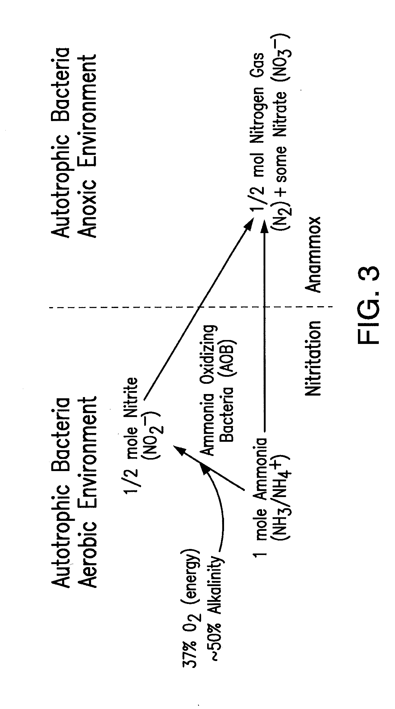 Method and apparatus for nitrogen removal in wastewater