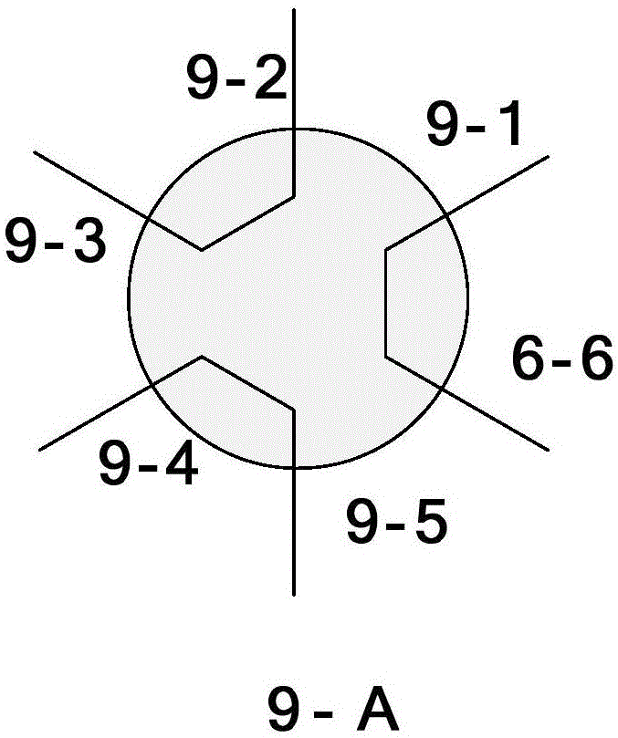 A kind of vocs online pretreatment device in water