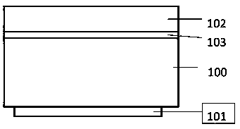 OLED device containing light extraction film adhesion promotion layer