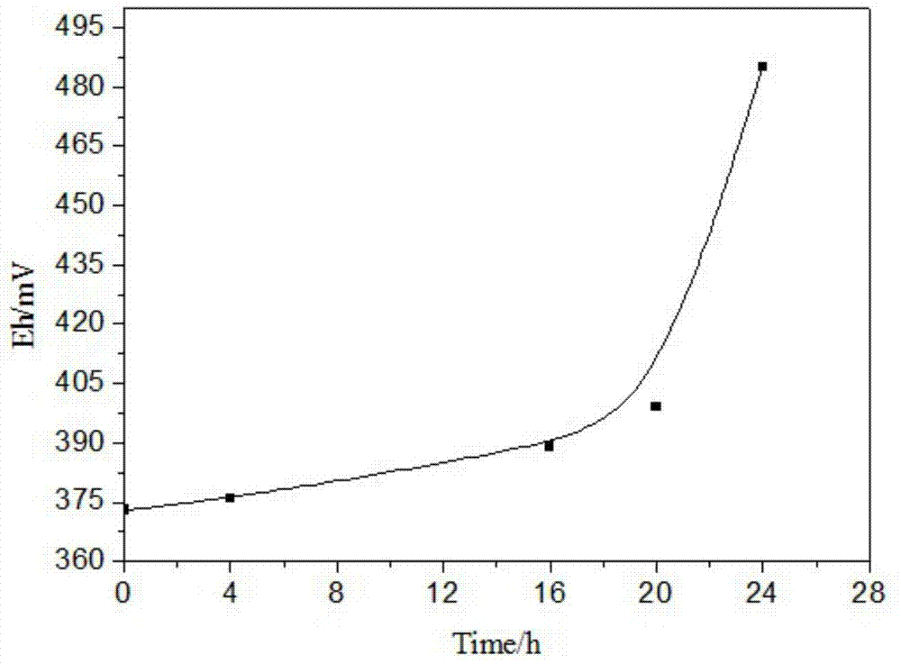 Fluoride-resistant ore leaching bacterium and application thereof in efficient leaching process of high-fluoride uranium ore