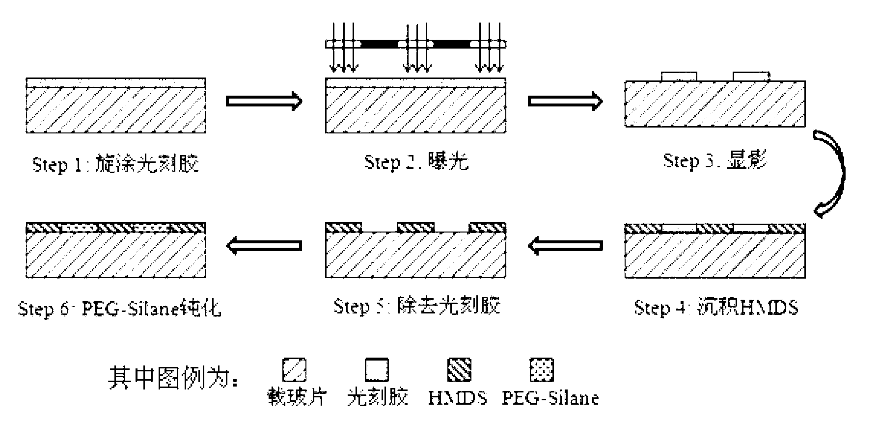 Avidin-biotin system cell patterning-based chip and preparation and applications thereof