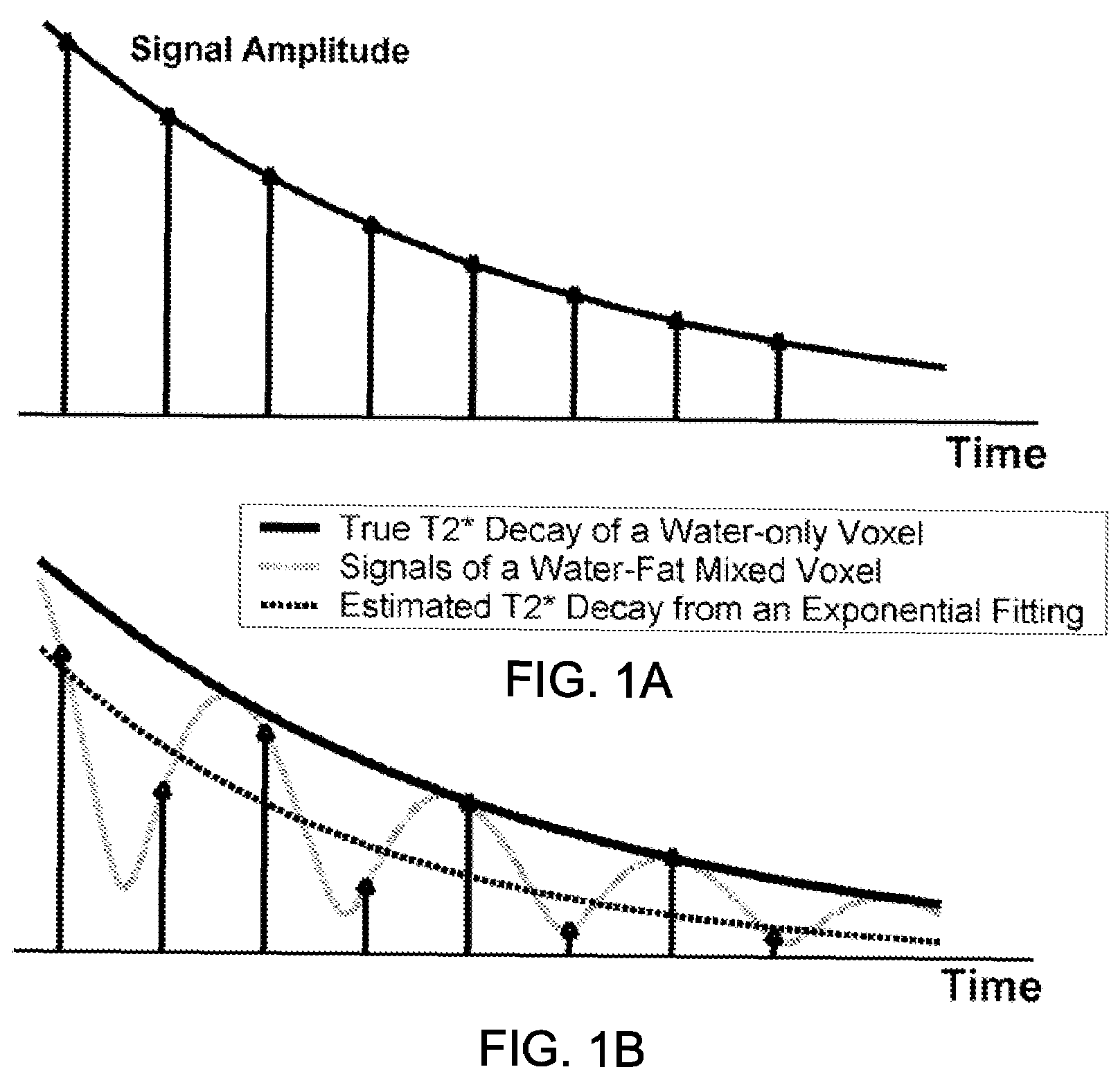 Simultaneous chemical species separation and T2* measurement using MRI