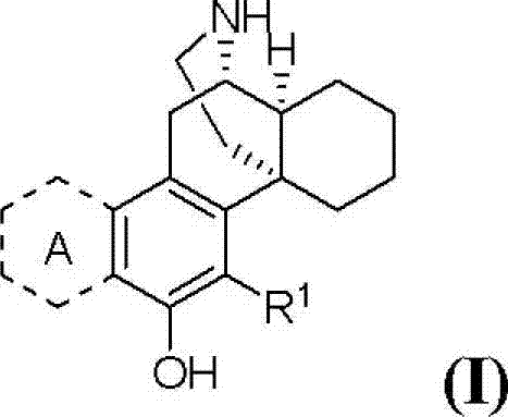 (+)-3-hydroxymorphinan-based polycycle derivatives as neuroprotectants