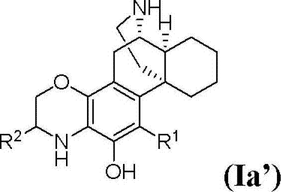 (+)-3-hydroxymorphinan-based polycycle derivatives as neuroprotectants