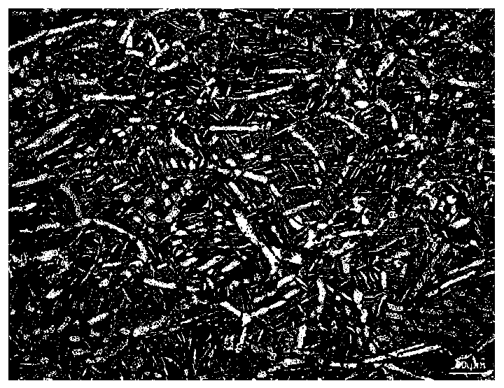 A method for hot reverse extrusion forming of titanium alloy cup-shaped parts