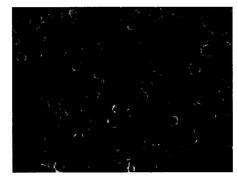 Nodulant for alloying nodular cast iron