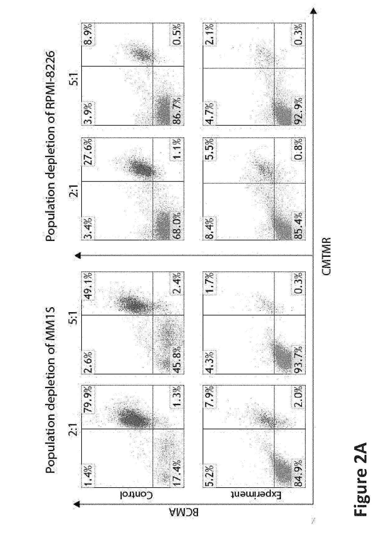 COMPOUND CHIMERIC ANTIGEN RECEPTOR (cCAR) TARGETING MULTIPLE ANTIGENS, COMPOSITIONS AND METHODS OF USE THEREOF