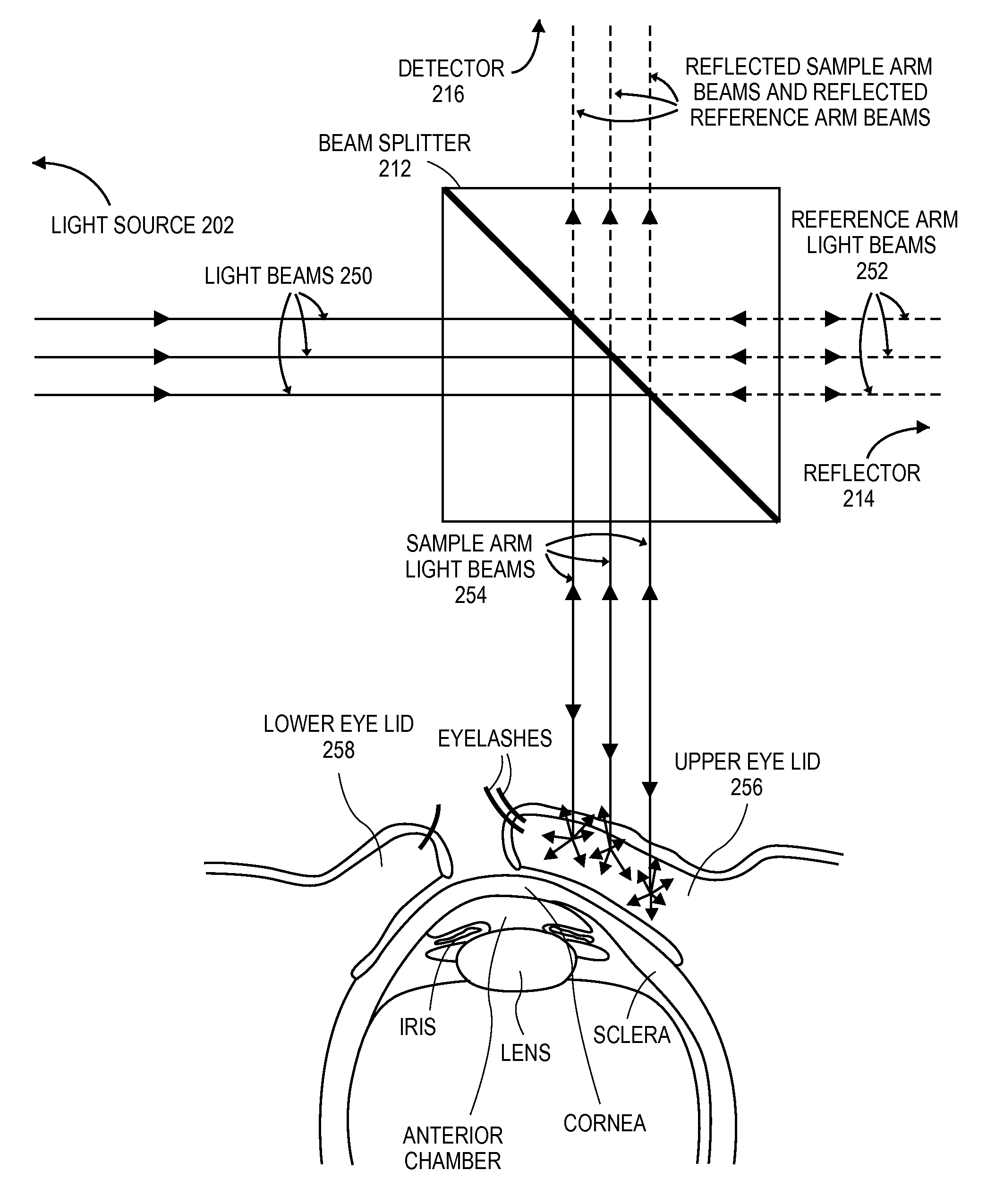 Patient monitor for monitoring microcirculation