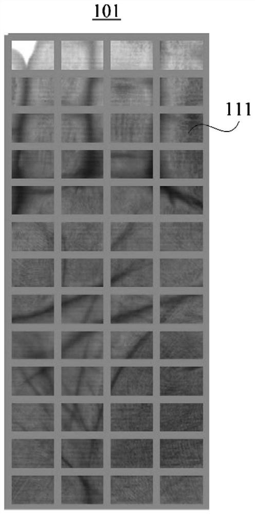 Input and verification method for hand texture information and input and verification device