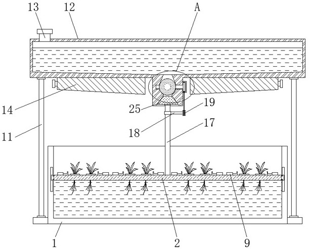 Semi-arid region high-saline-alkali water body aquatic plant culture device and culture method