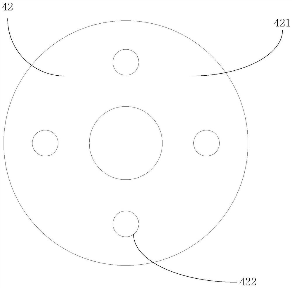 In-situ hydrogen display detection device and detection method