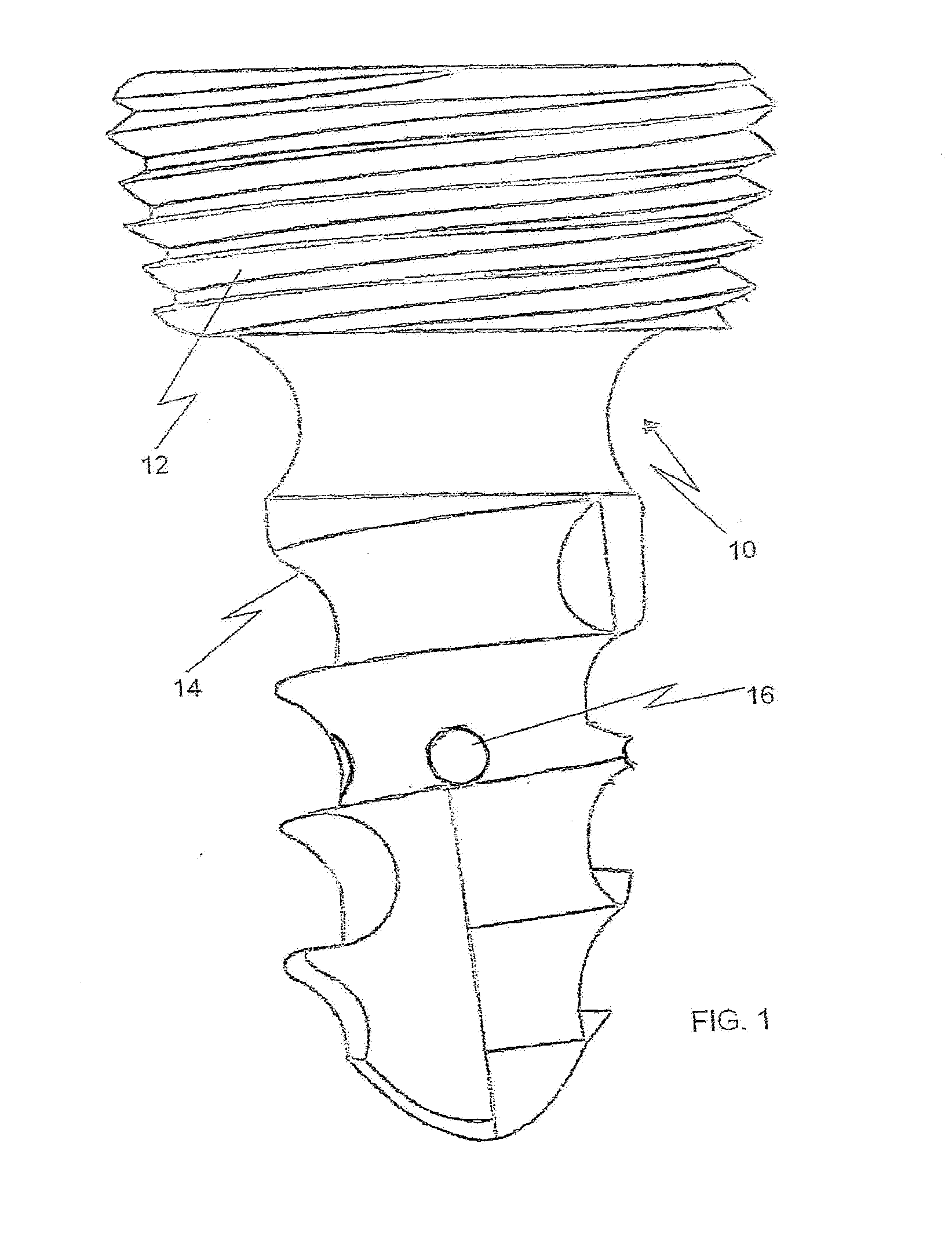 Bone fixation system with structure to enhance tissue growth and/or administer medicament inside bone