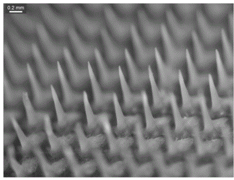 A silk fibroin gel microneedle system and preparation method thereof