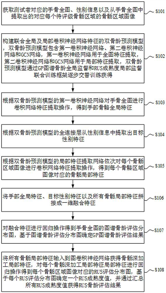 Double-bone-age evaluation method based on joint global and local convolutional neural network features