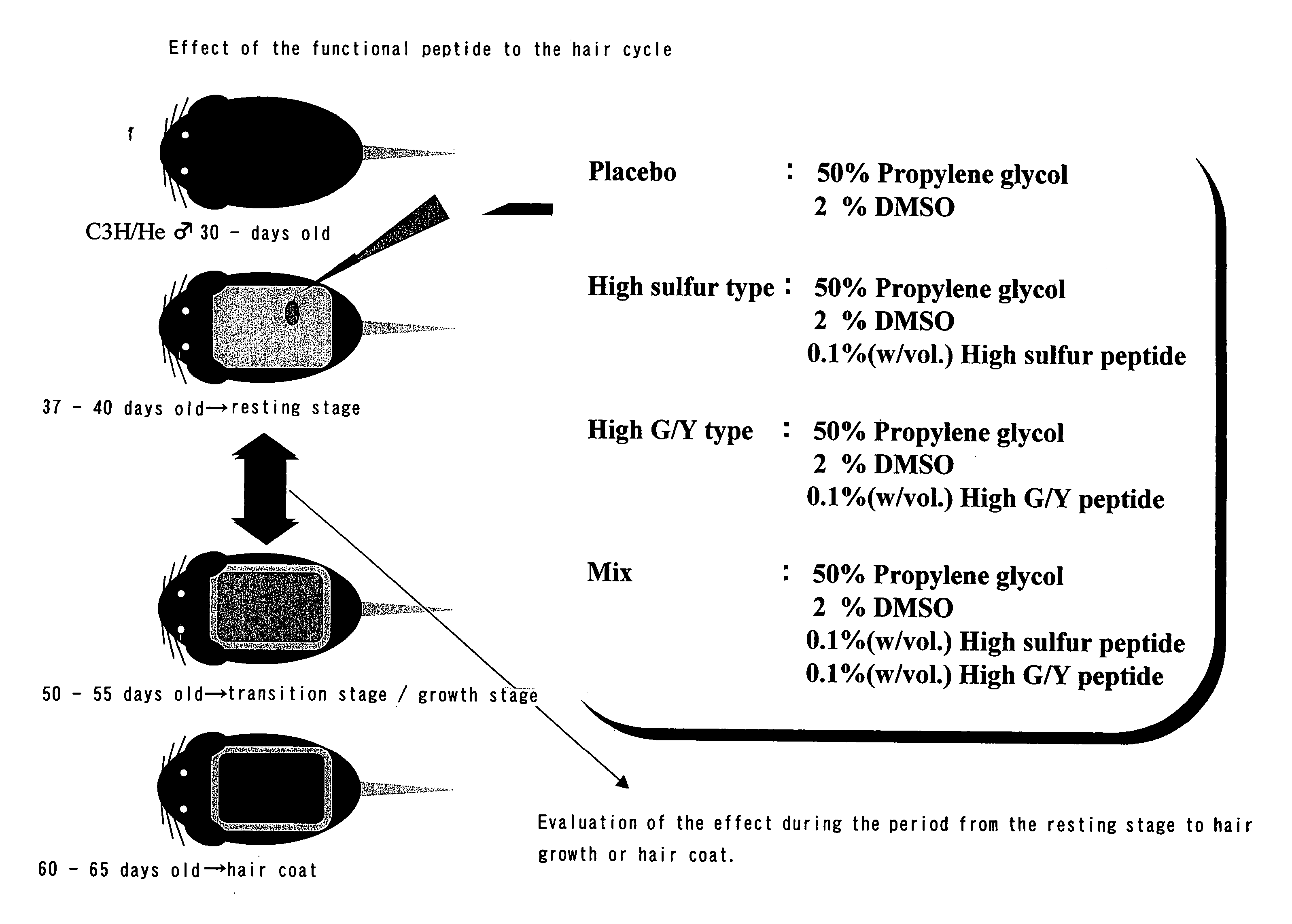 Hair keratin-associated proteins