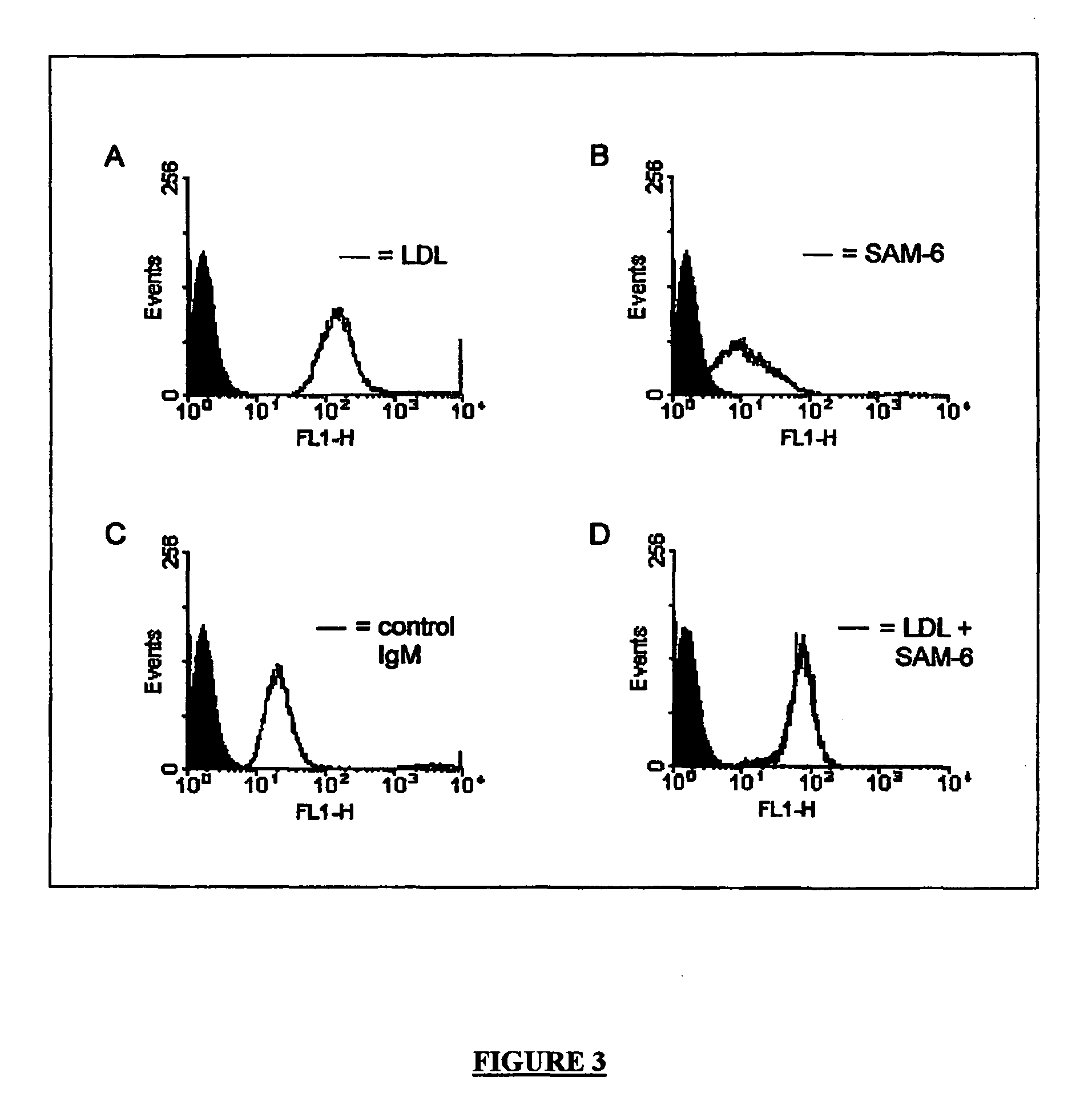 Human monoclonal antibody having fat-reducing effect