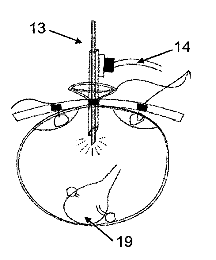 Safety isolation bags for intra abdominal, endoscopic procedures, power morcellation and vaginal morcellation