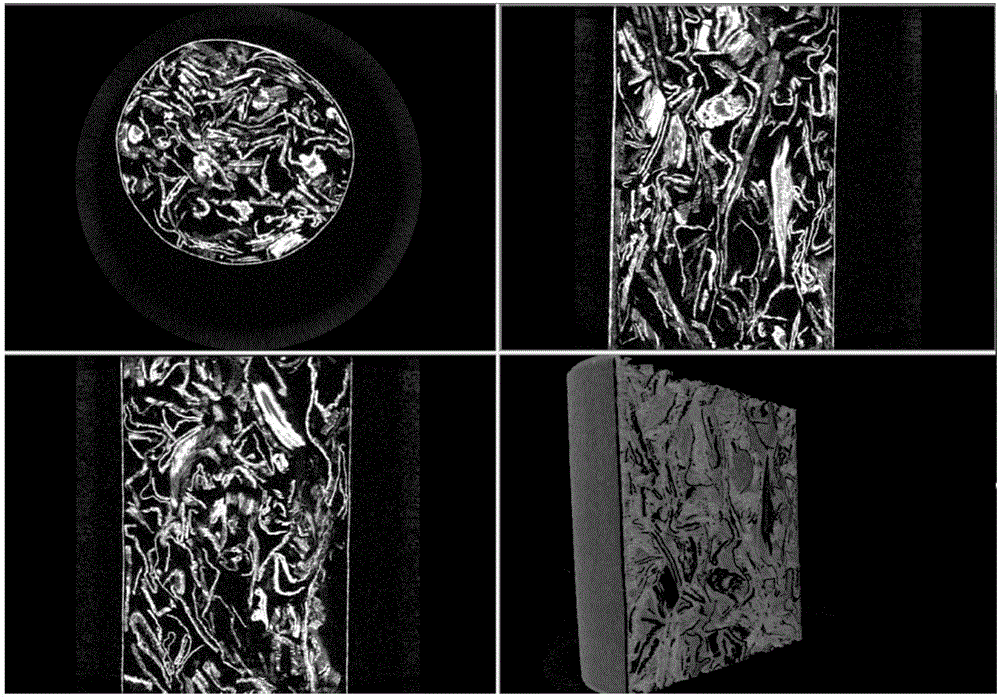 Non-destructive testing method of internal structure of cigarettes during burning