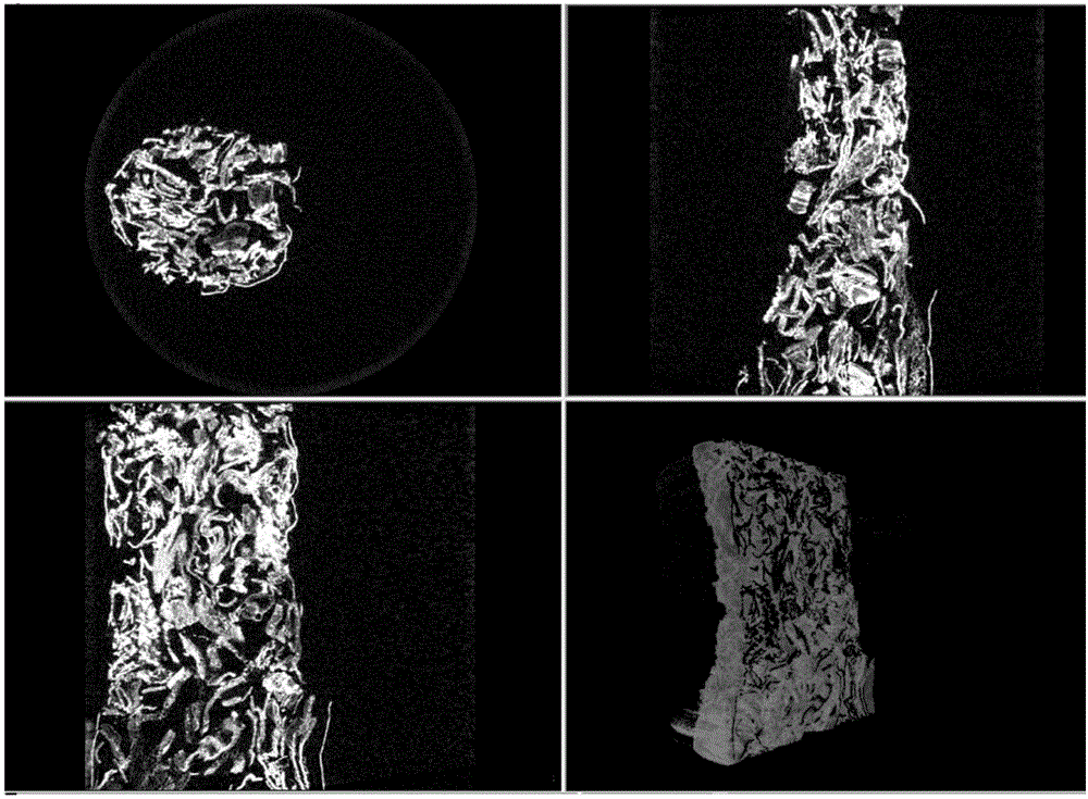 Non-destructive testing method of internal structure of cigarettes during burning