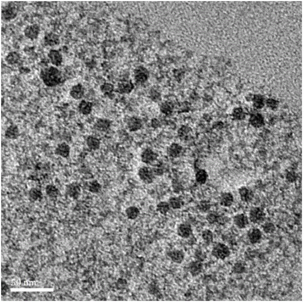 Nano particles modified by alendronic acid functionalized polyethylene glycol and preparation method of nano particles