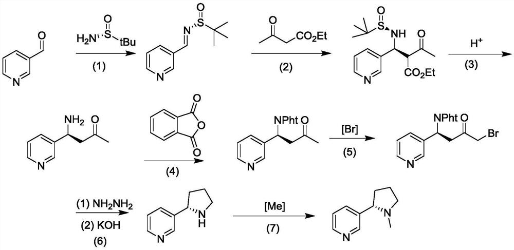 Method for asymmetrically synthesizing (S)-nicotine