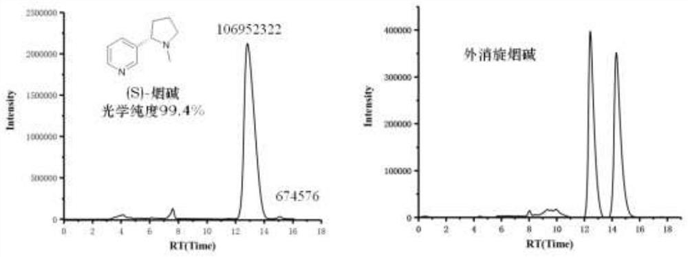 Method for asymmetrically synthesizing (S)-nicotine