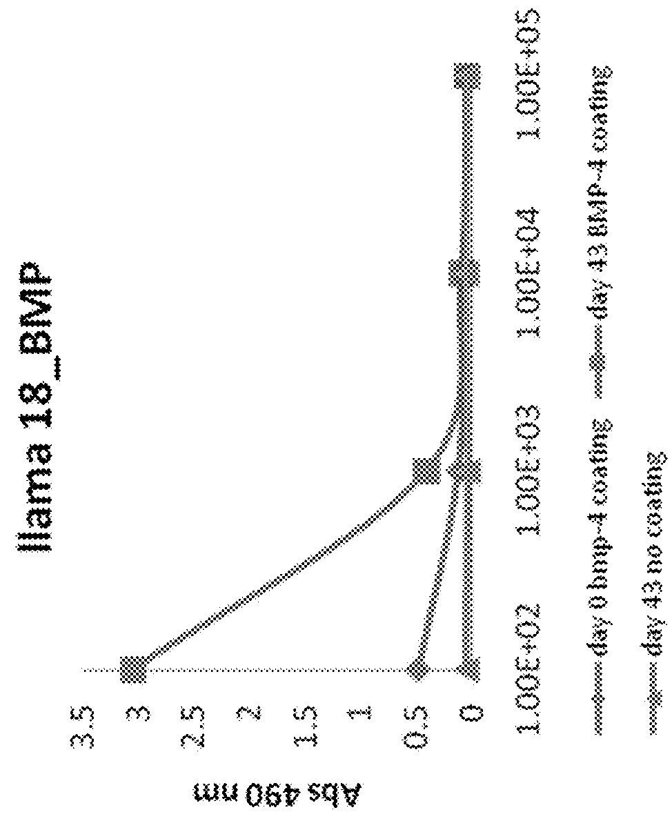 Antibodies binding to bmp4, and uses thereof