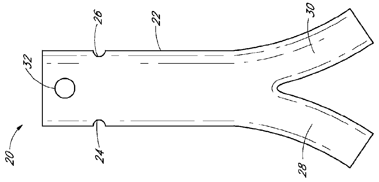 Apparatus and method of placement of a graft or graft system